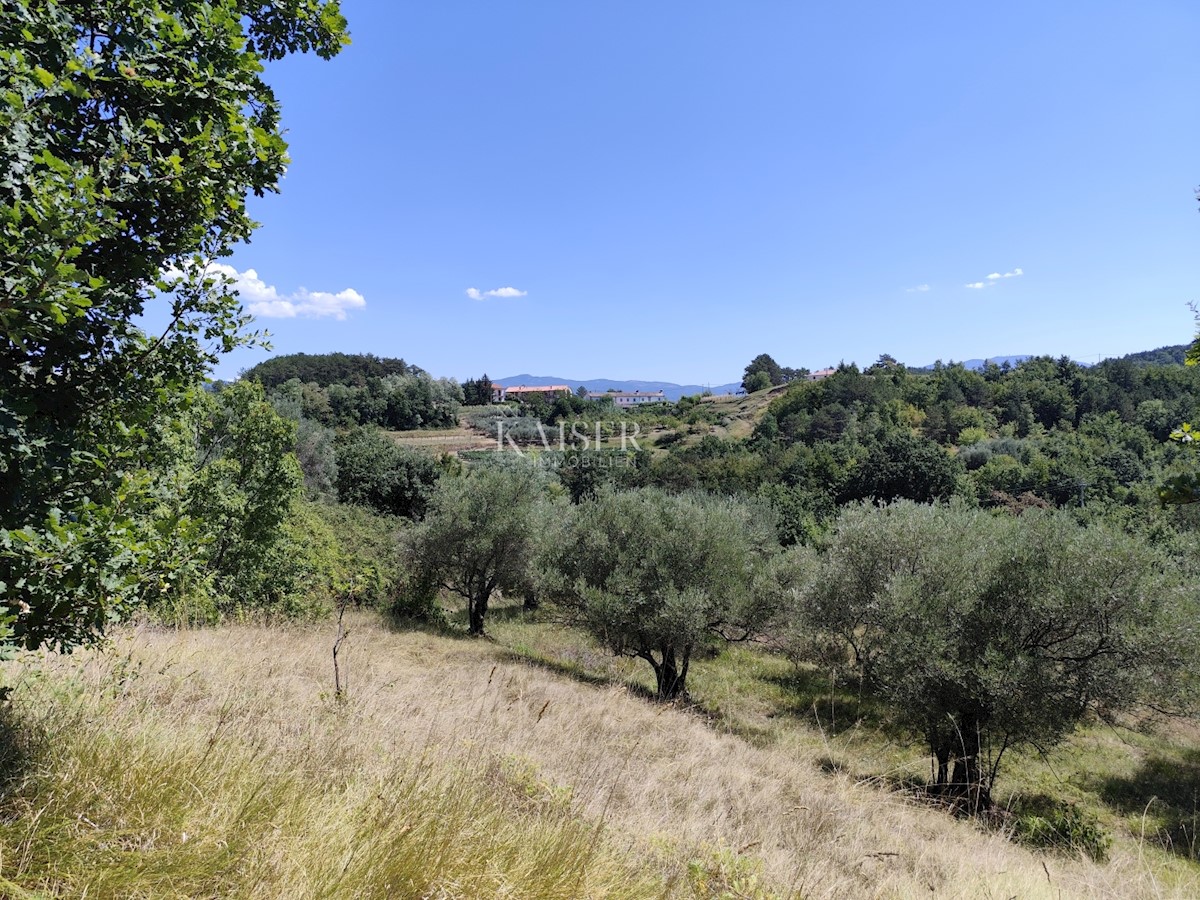 Istria, Buzet - terreno edificabile con vista sulla natura