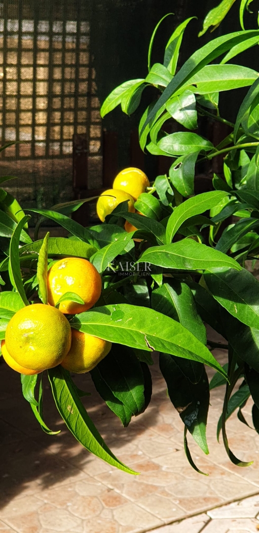 Appartamento Artatore, Mali Lošinj, 65m2