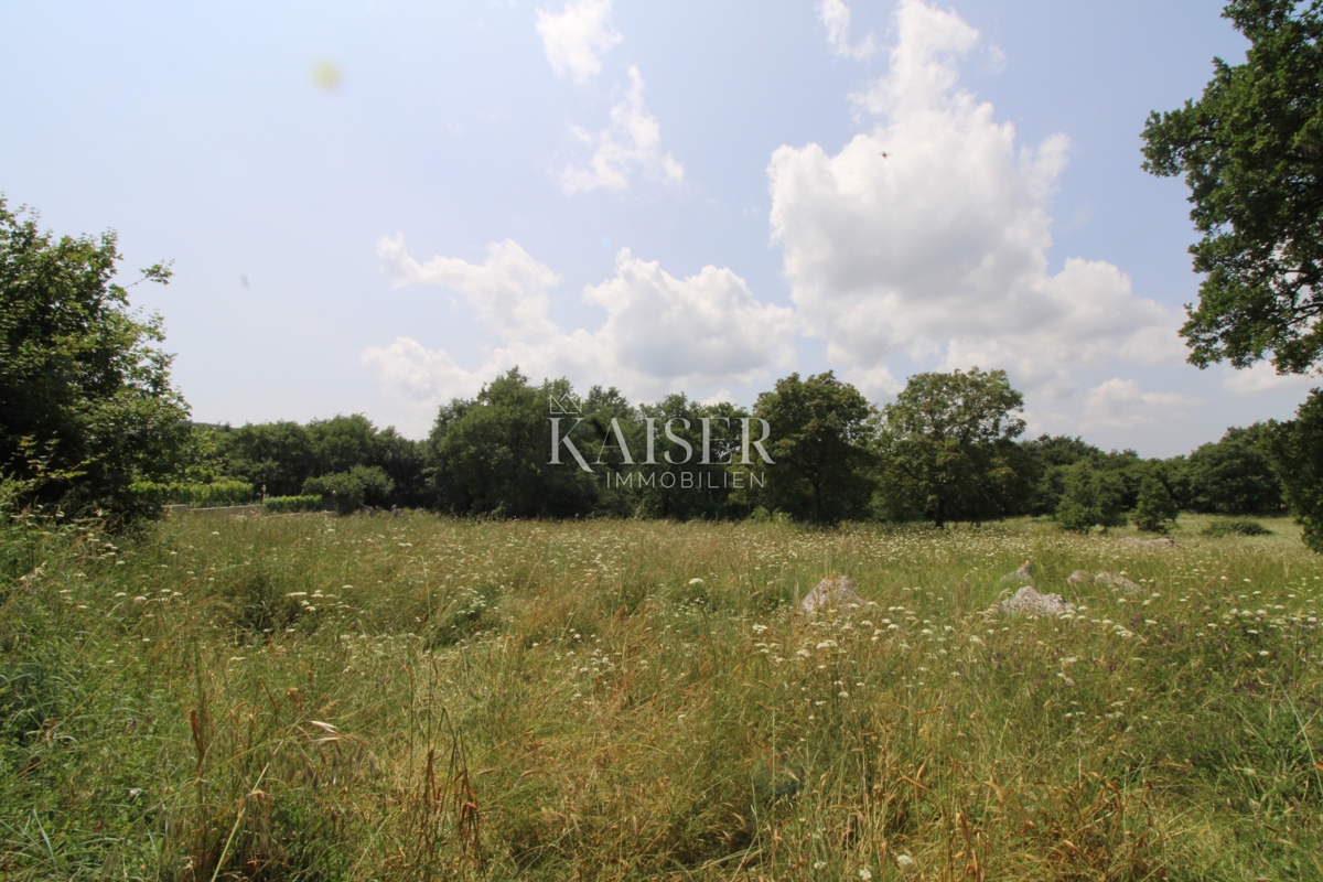 Terreni agricoli Labin, 11.279m2