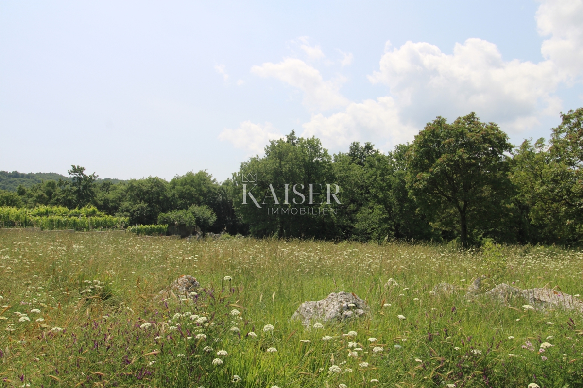 Terreni agricoli Labin, 11.279m2