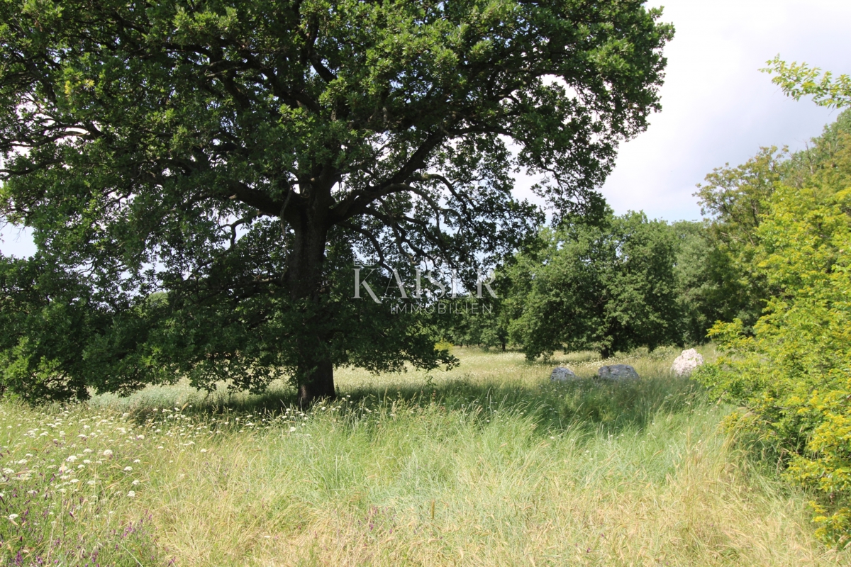 Terreni agricoli Labin, 11.279m2
