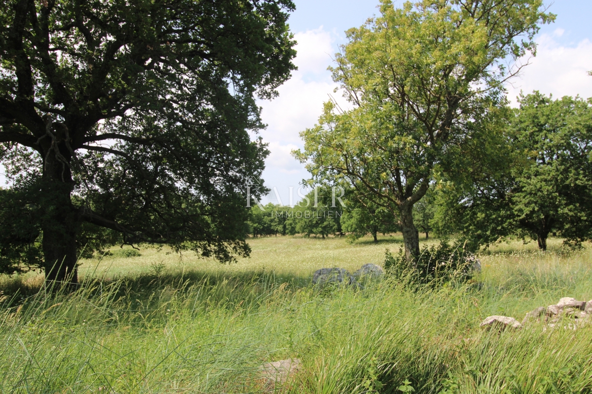 Terreni agricoli Labin, 11.279m2