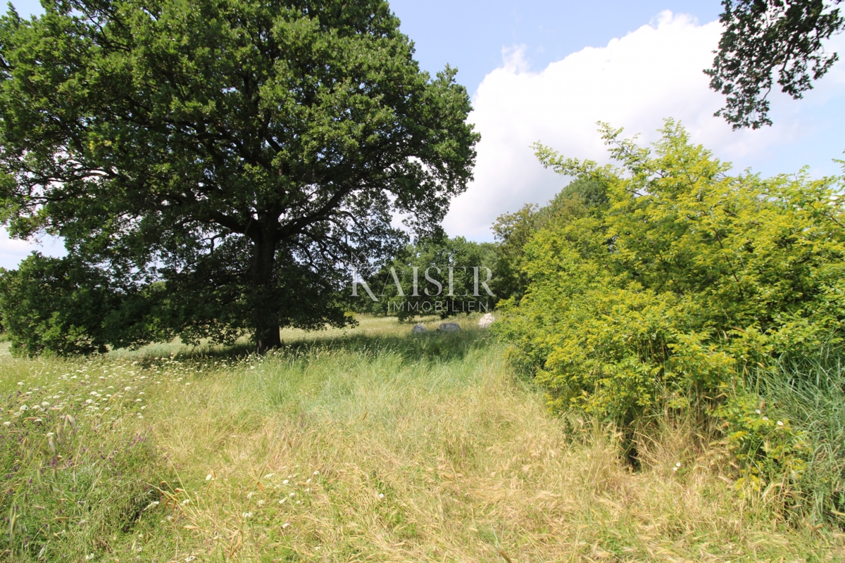 Terreni agricoli Labin, 11.279m2