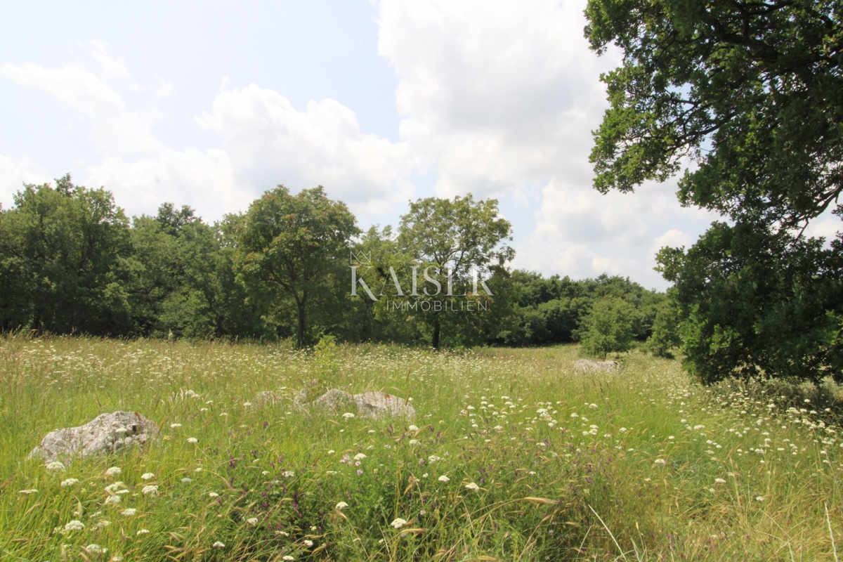 Terreni agricoli Labin, 11.279m2