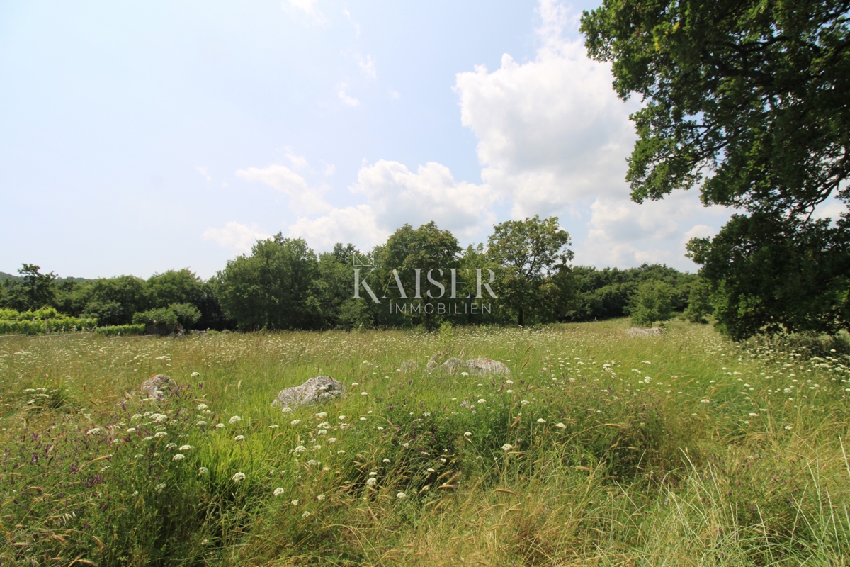 Terreni agricoli Labin, 11.279m2