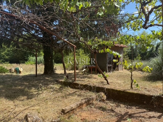 Žminj - casa familiare su un terreno di 6.454 m2