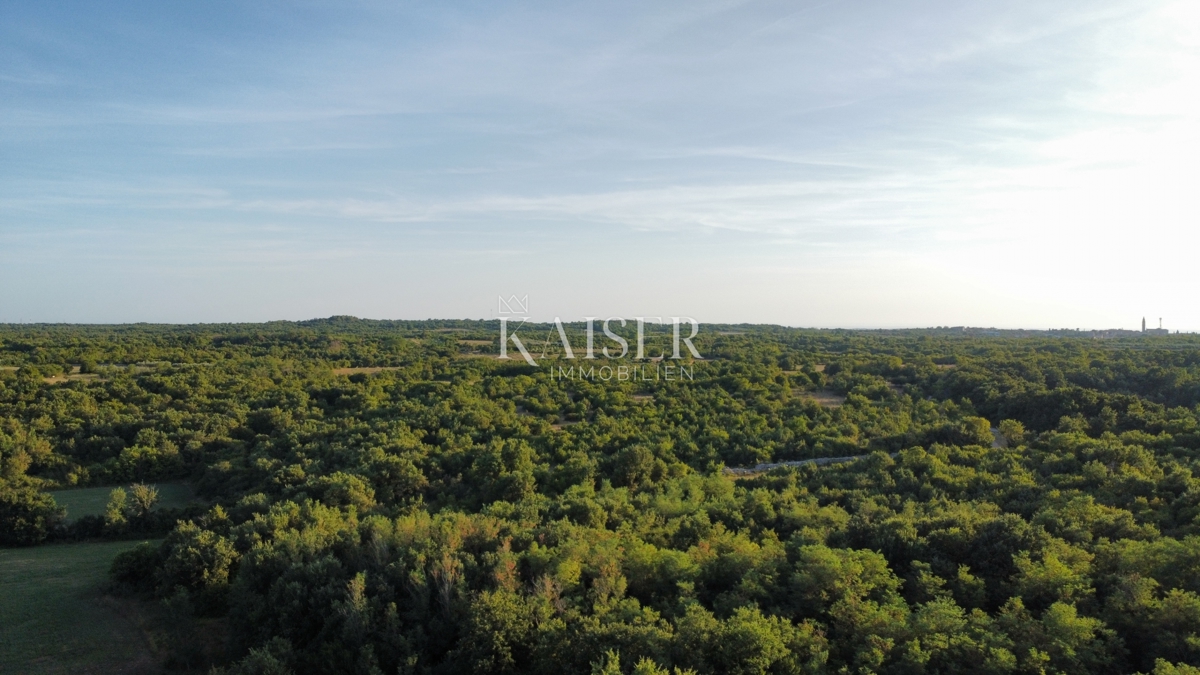 Dignano - terreno edificabile con permesso e progetto