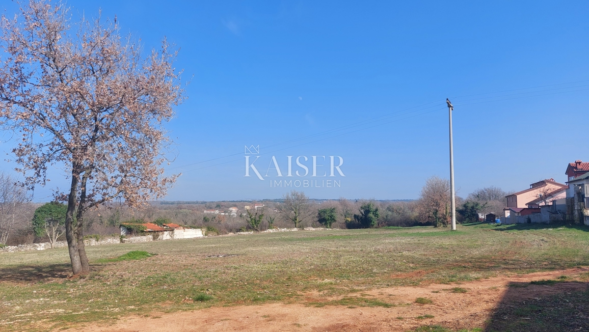 Istria, Umago, dintorni - terreno edificabile 4000m2, adatto per la costruzione di appartamenti