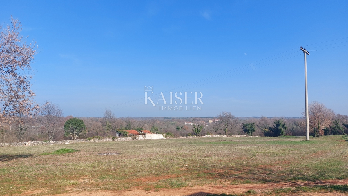 Istria, Umago, dintorni - terreno edificabile 4000m2, adatto per la costruzione di appartamenti