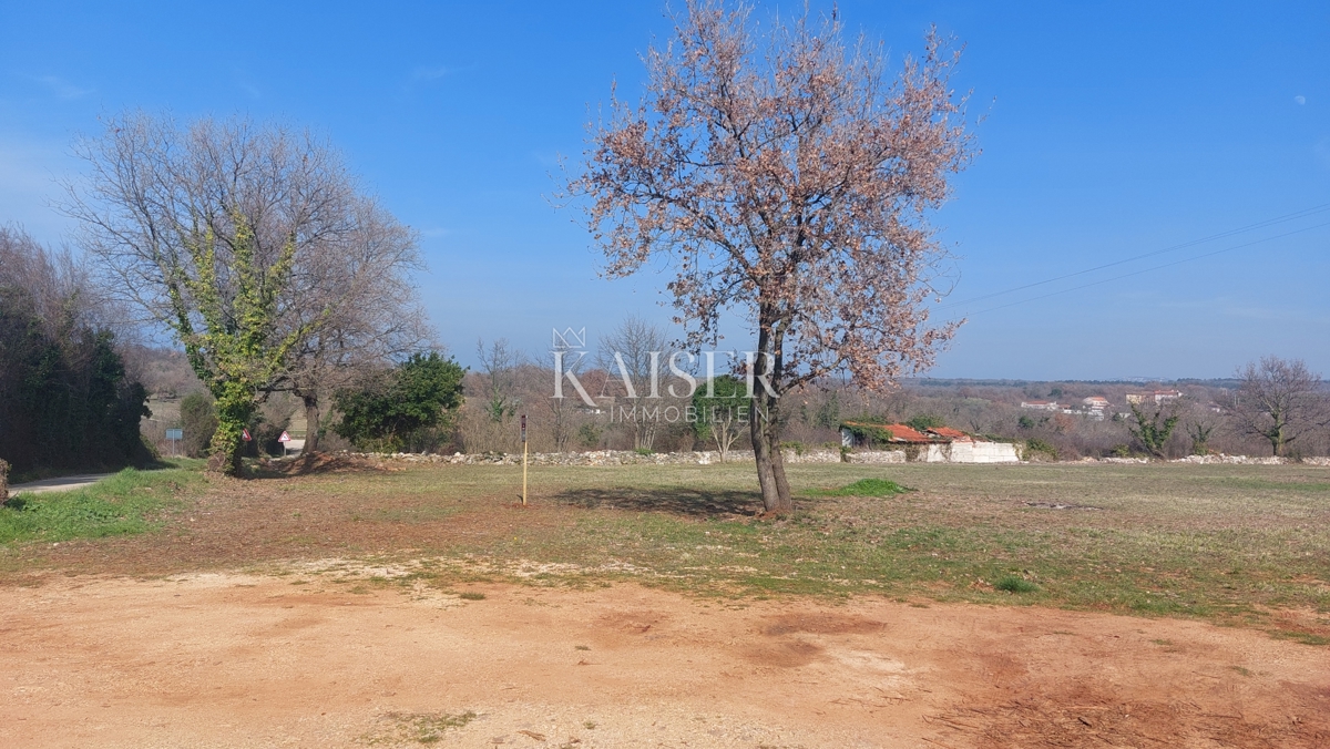 Istria, Umago, dintorni - terreno edificabile 4000m2, adatto per la costruzione di appartamenti