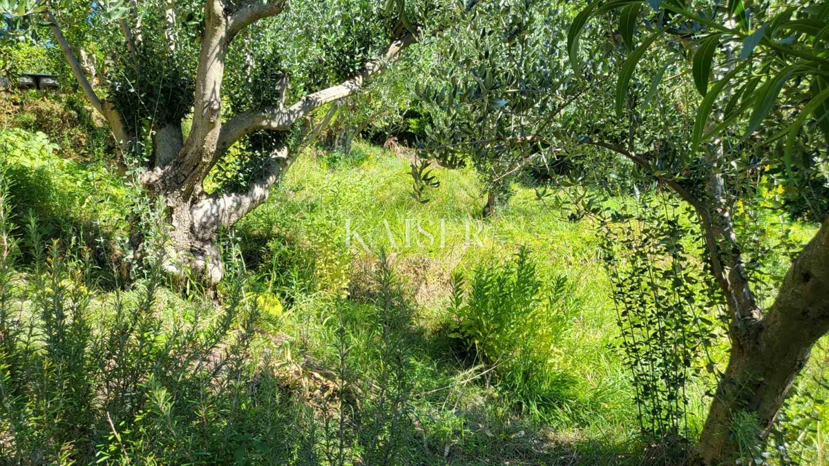 Zara – Rtina 937 m2 prima fila al mare