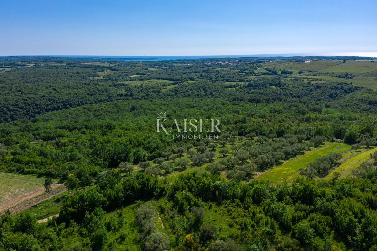 Istria, Buie - Casa 150m2 con piscina e vista mare