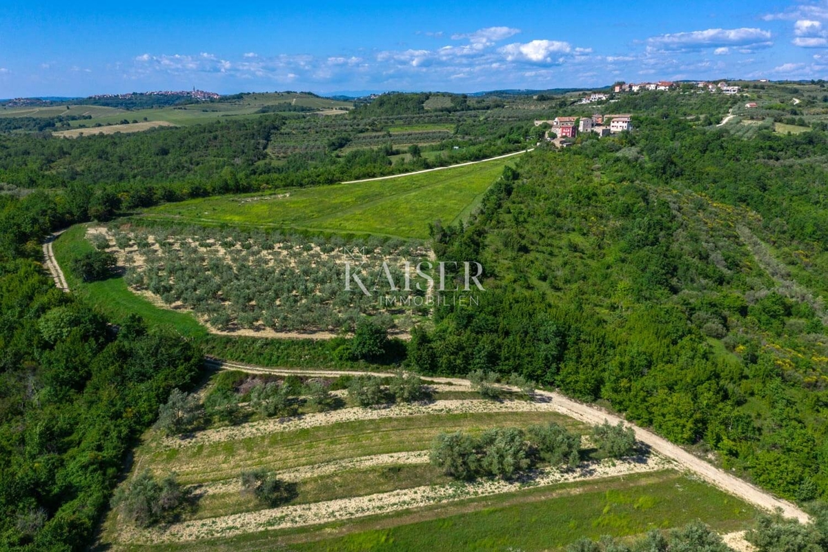 Istria, Buie - Casa 150m2 con piscina e vista mare