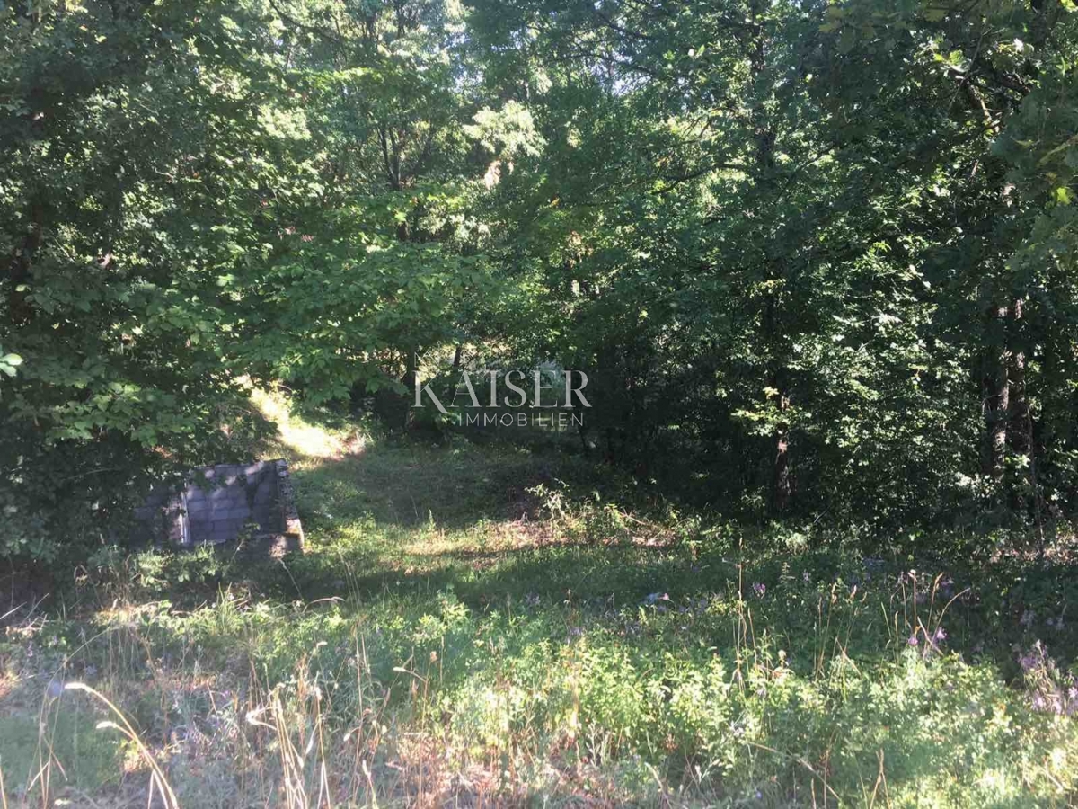Kastav, 4.814m2