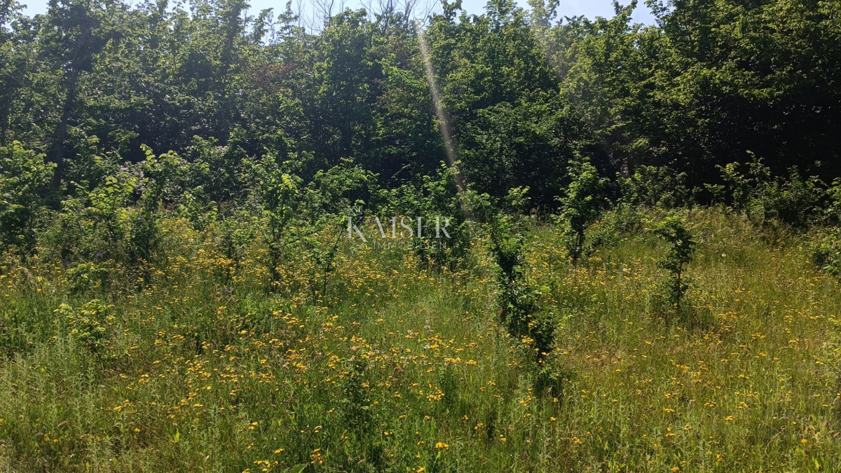 Istria - Barban - terreno edificabile, 850 m2