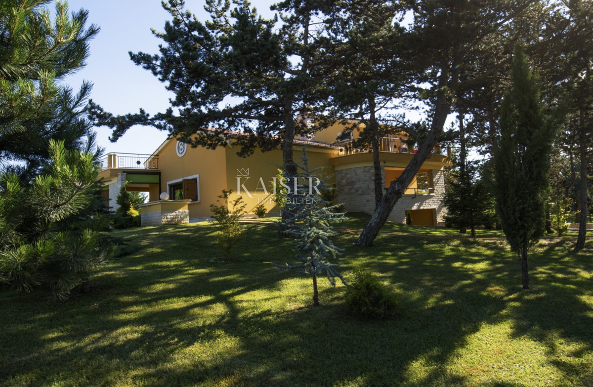Istria, Pazin - proprietà unica, 42000 m2