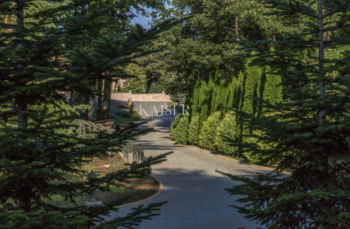 Istria, Pazin - proprietà unica, 42000 m2