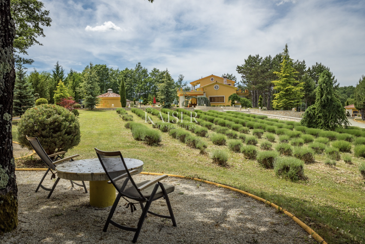 Istria, Pazin - proprietà unica, 42000 m2