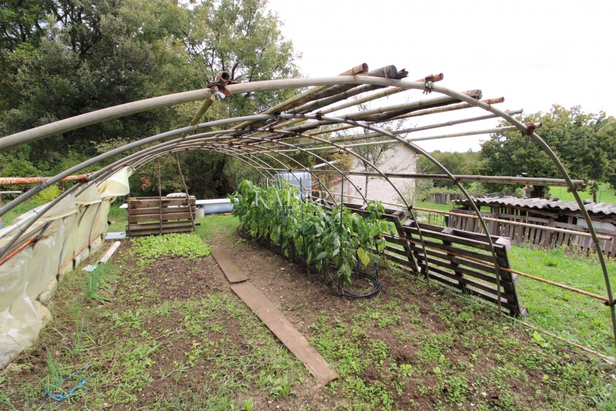 Rabac - case di 235 m2 su un terreno di 9.560 m2