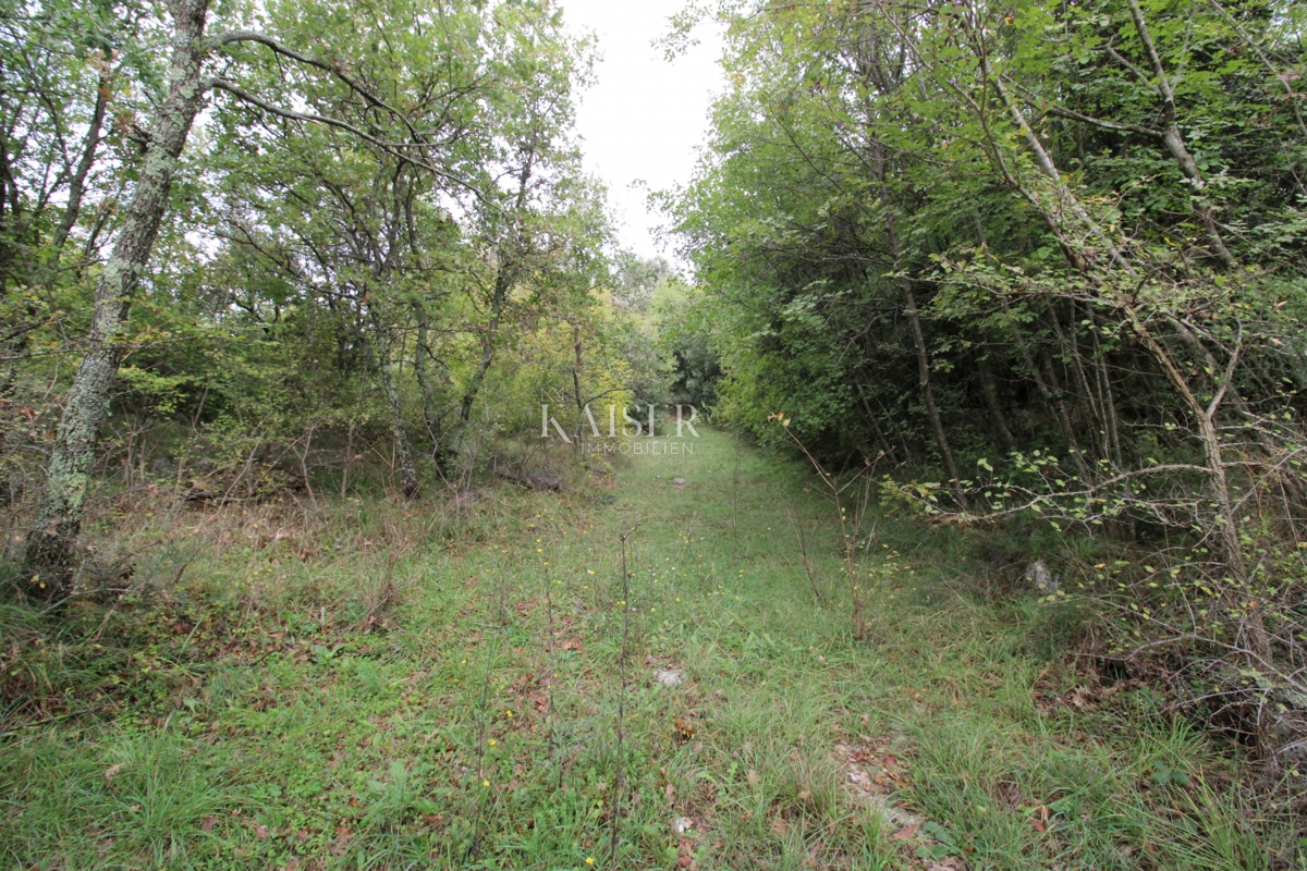 Rabac - case di 235 m2 su un terreno di 9.560 m2