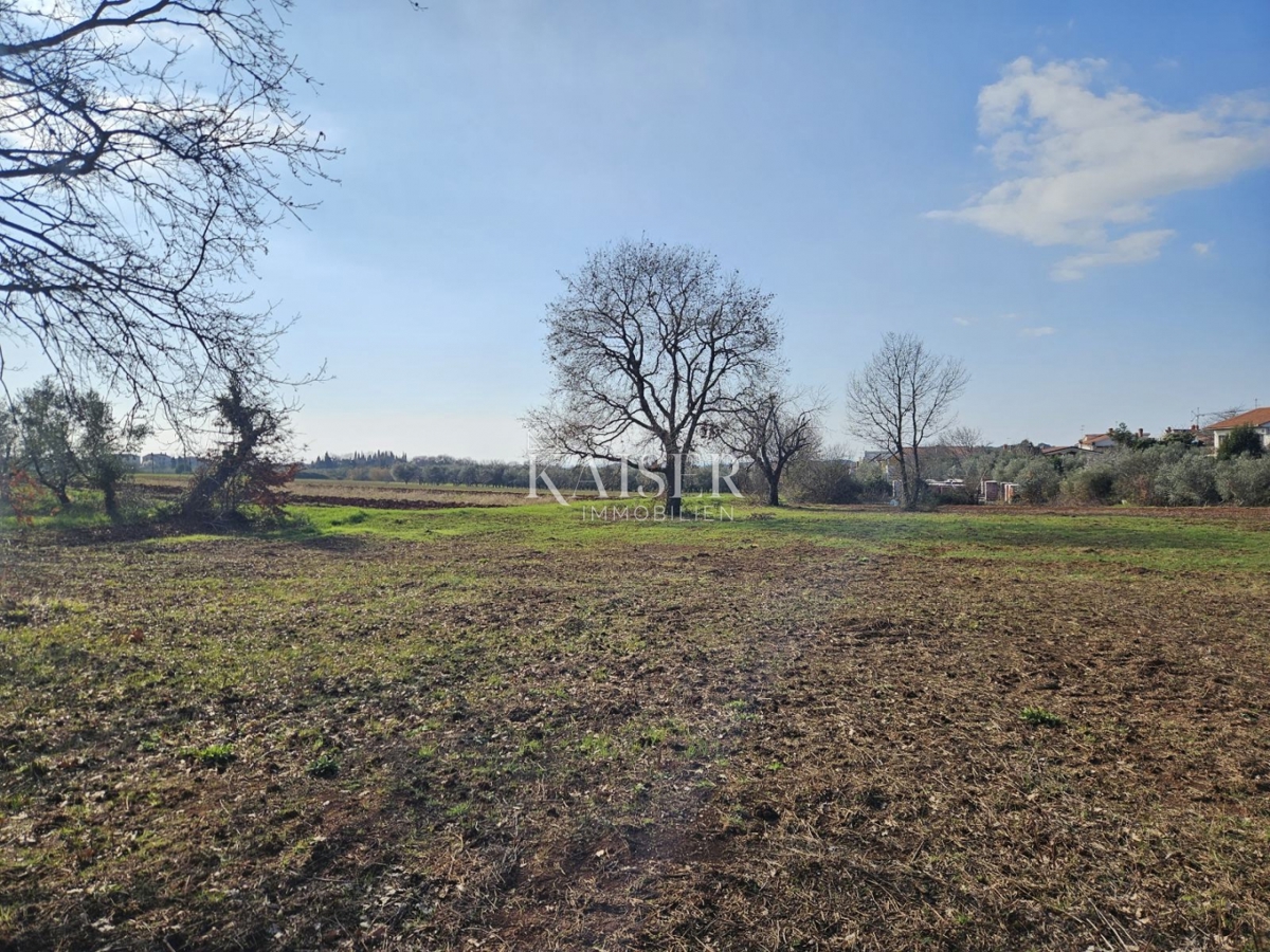 Istria, Novigrad - terreno edificabile 650m2