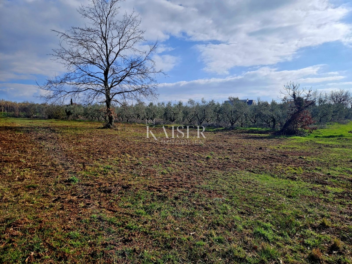 Istria, Novigrad - terreno edificabile 650m2