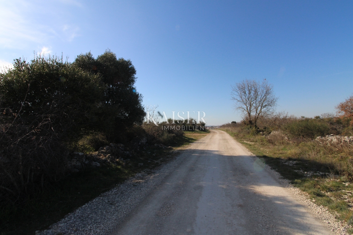 Istria, Medolino - terreno agricolo 618m2 vicino alla zona edificabile