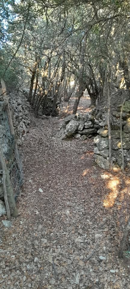 Cherso, baia Meli, terreno agricolo in riva al mare