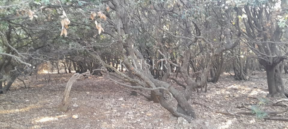 Cherso, baia Meli, terreno agricolo in riva al mare