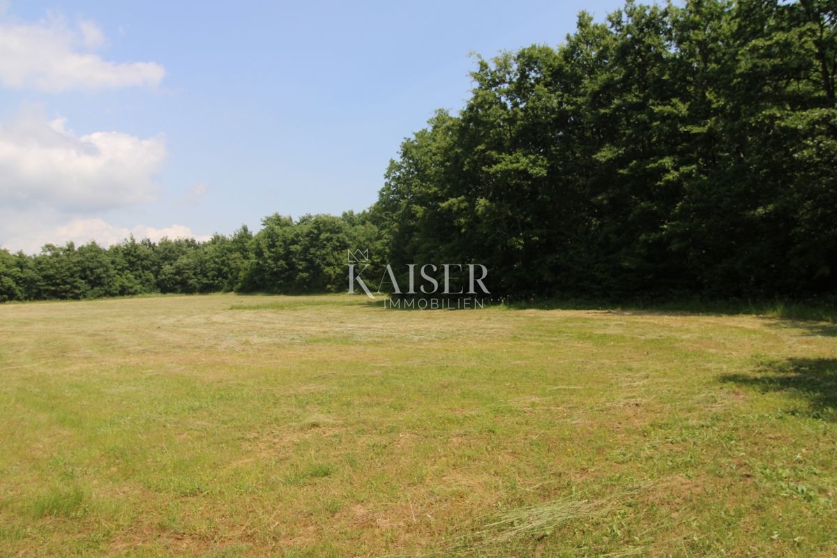 Terreni agricoli Labin, 13.720m2