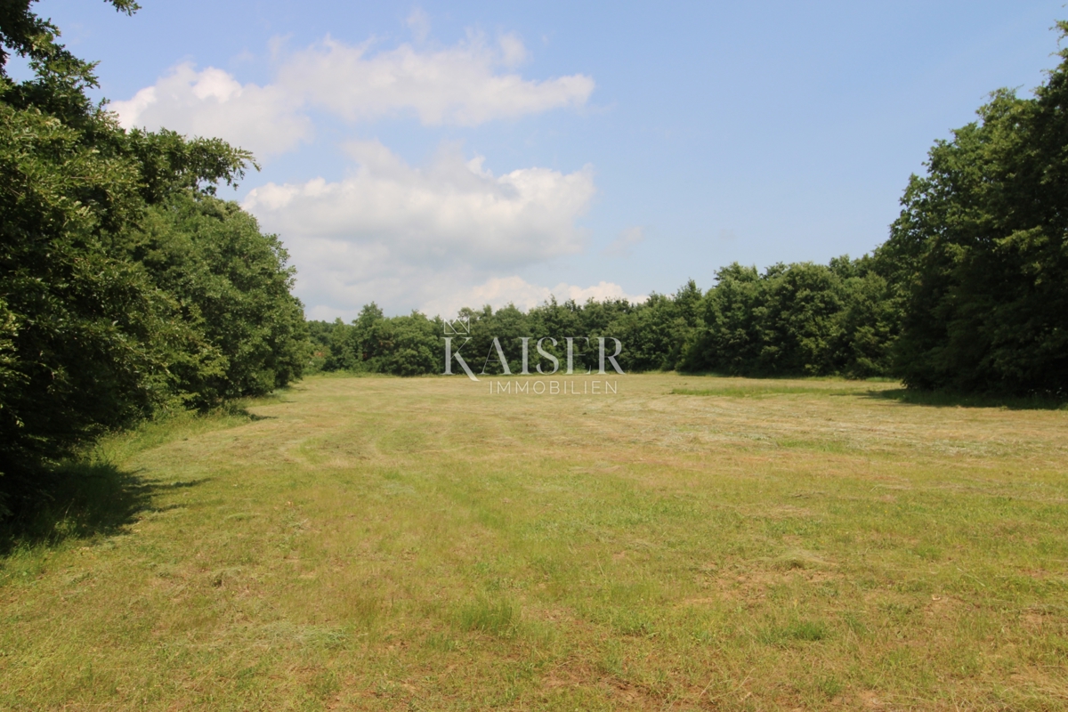 Terreni agricoli Labin, 13.720m2