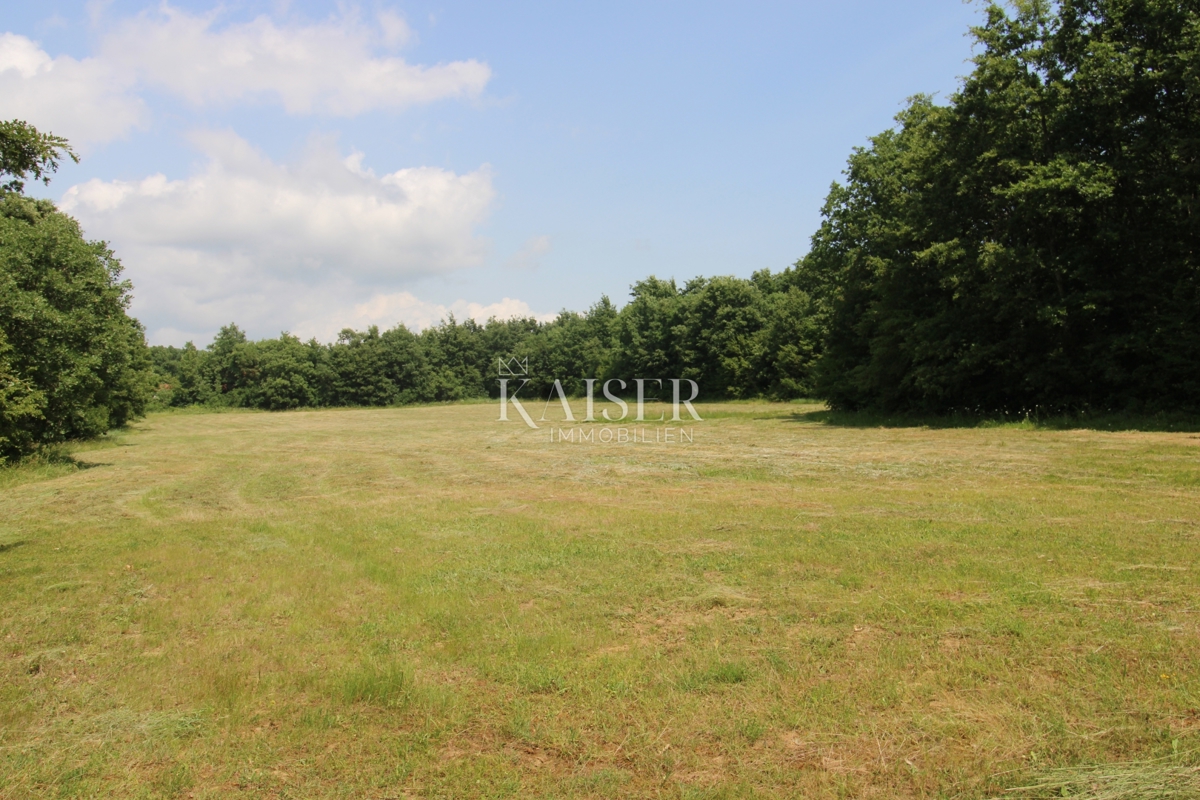 Terreni agricoli Labin, 13.720m2