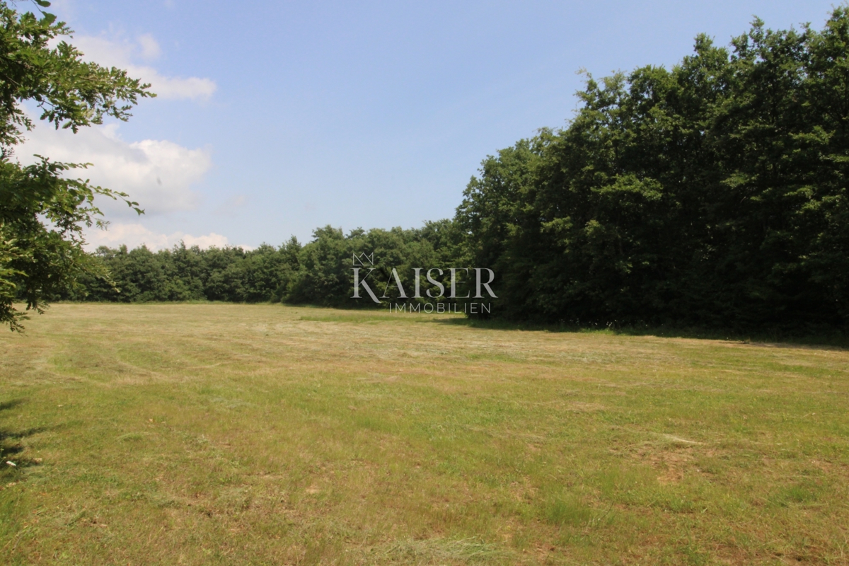 Terreni agricoli Labin, 13.720m2