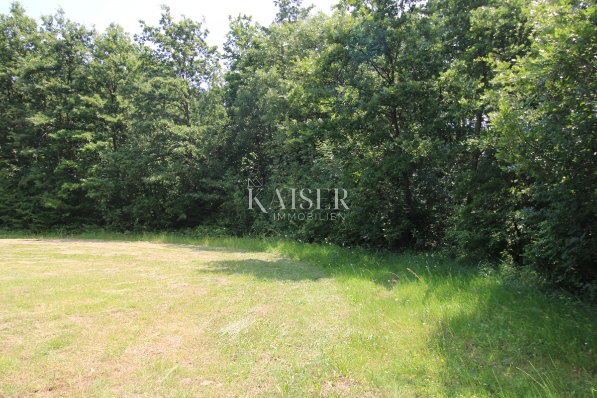 Terreni agricoli Labin, 13.720m2