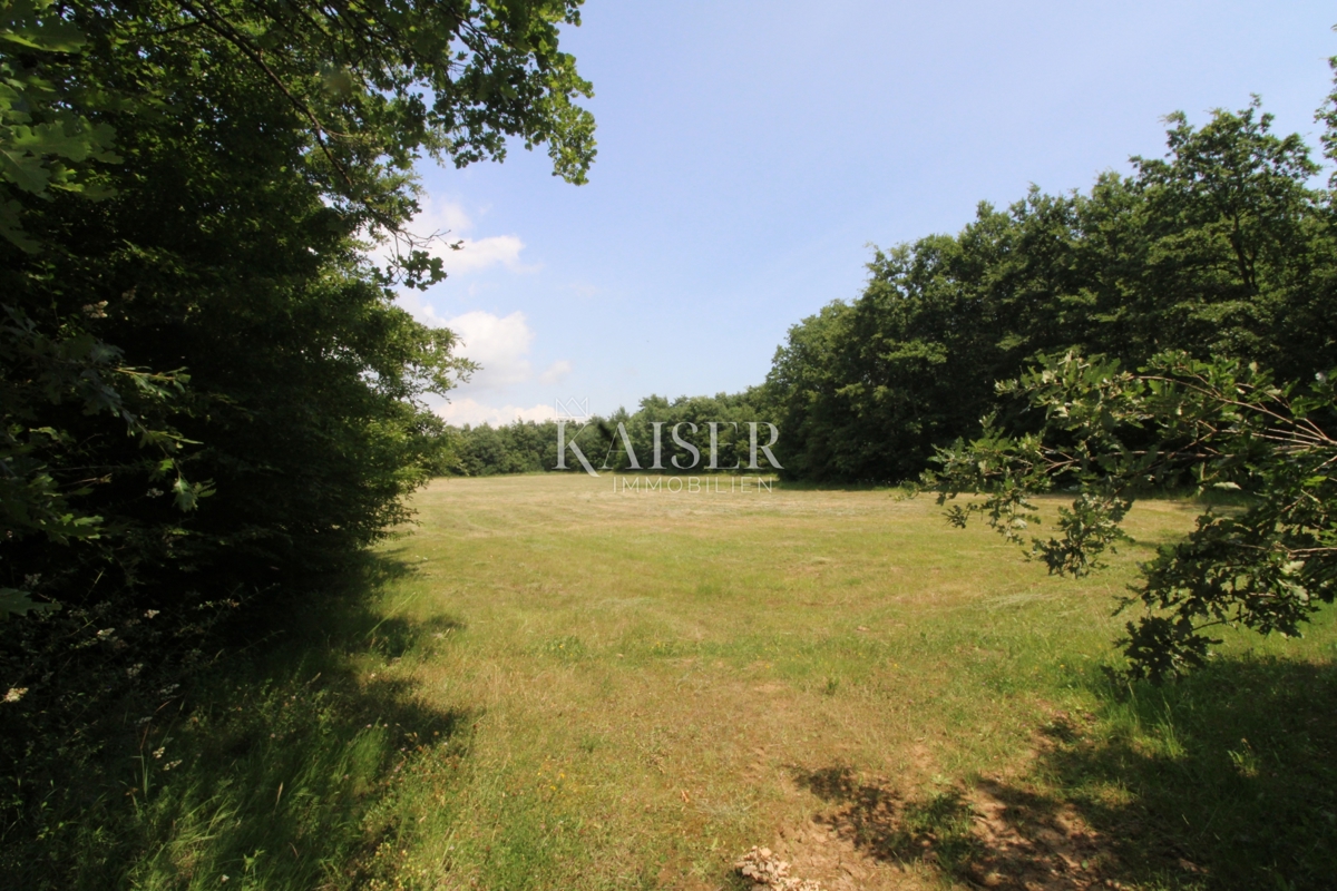 Terreni agricoli Labin, 13.720m2