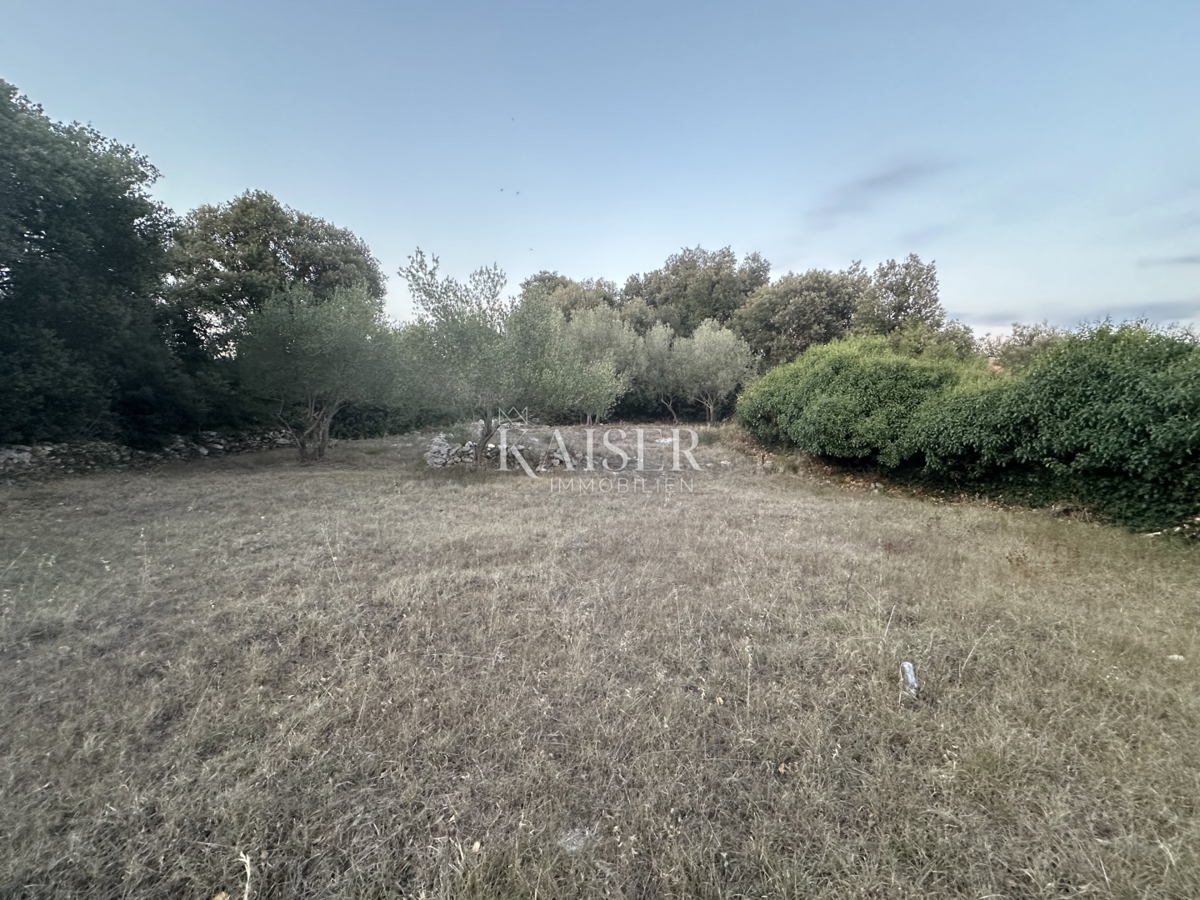 Zara, Diklo - terreno edificabile, a 250 m dal mare e dalla spiaggia. 