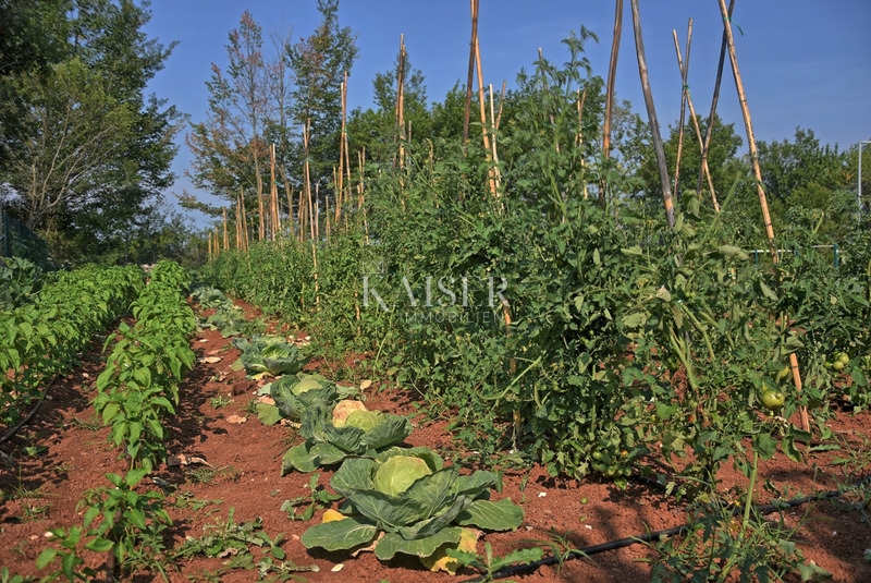 Istria - Canfanaro, villa rustica in pietra in stile istriano