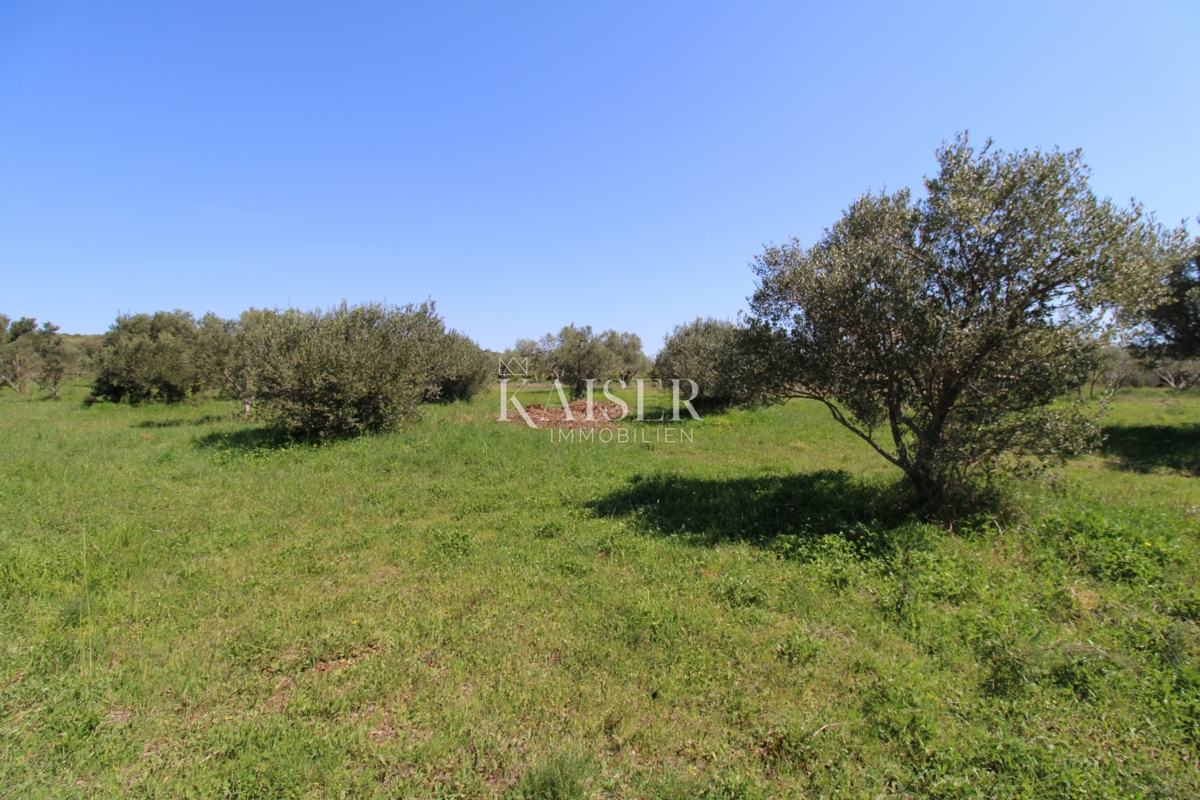 Zara, Turanj - Terreno edificabile paesaggisticamente attraente 