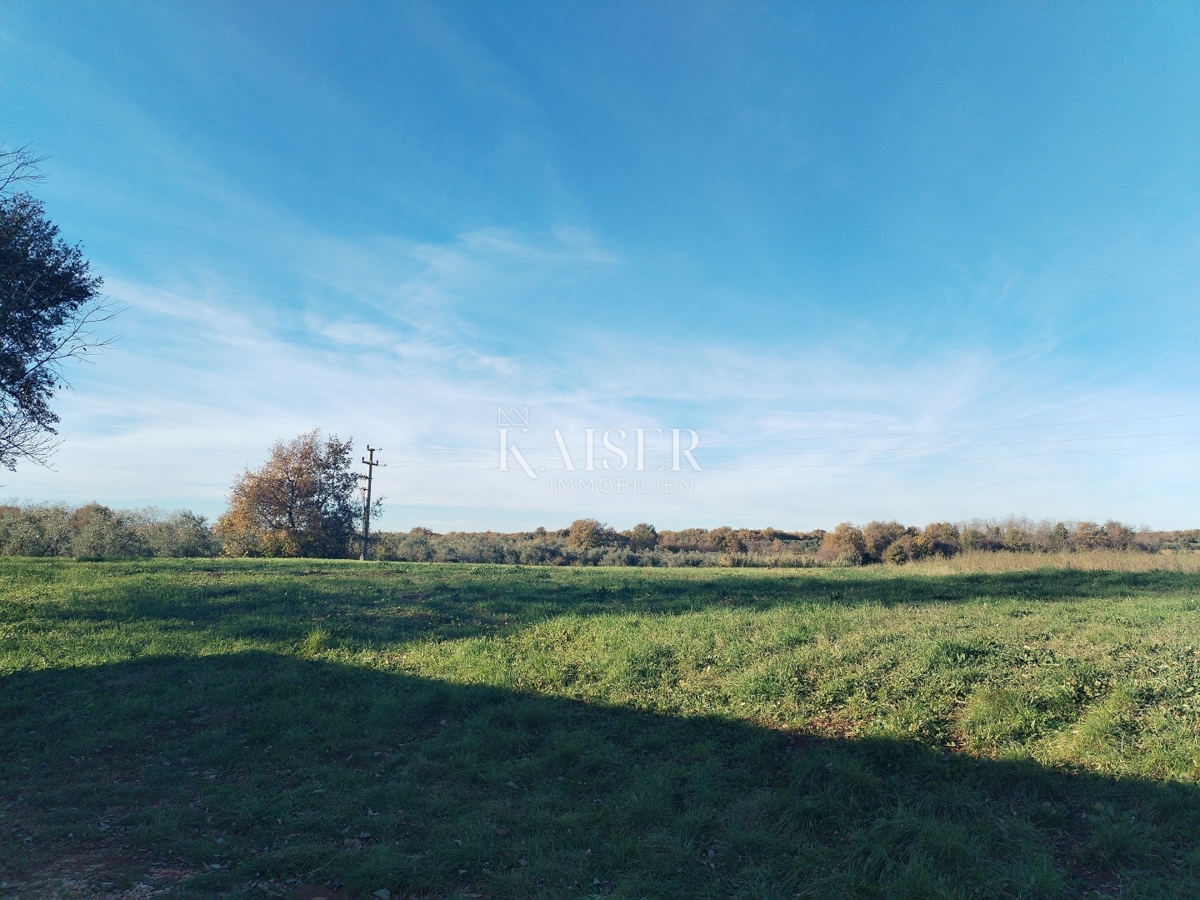 Istria, Verteneglio, Fiorini, terreno edificabile 536 m2