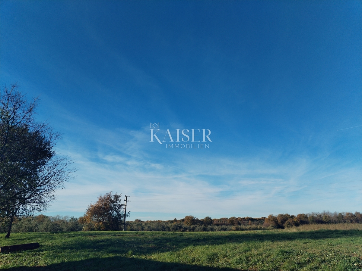 Istria, Verteneglio, Fiorini, terreno edificabile 536 m2