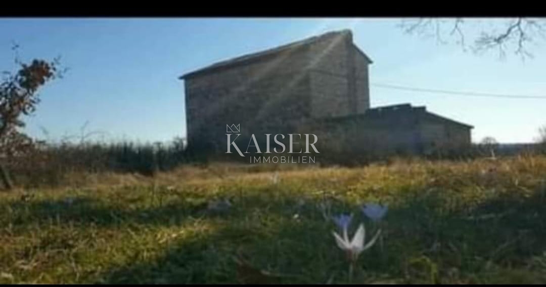 Istria, Krnica - autentica fattoria istriana 7000m2