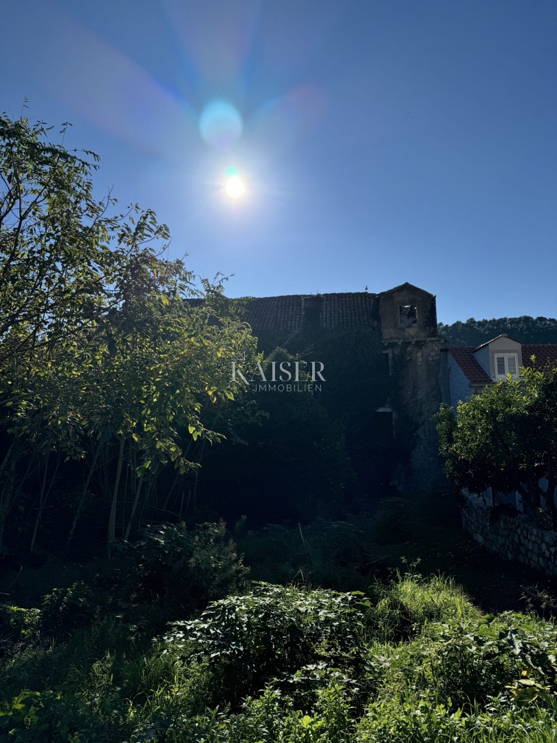 Palazzo storico a Sipanska Luka