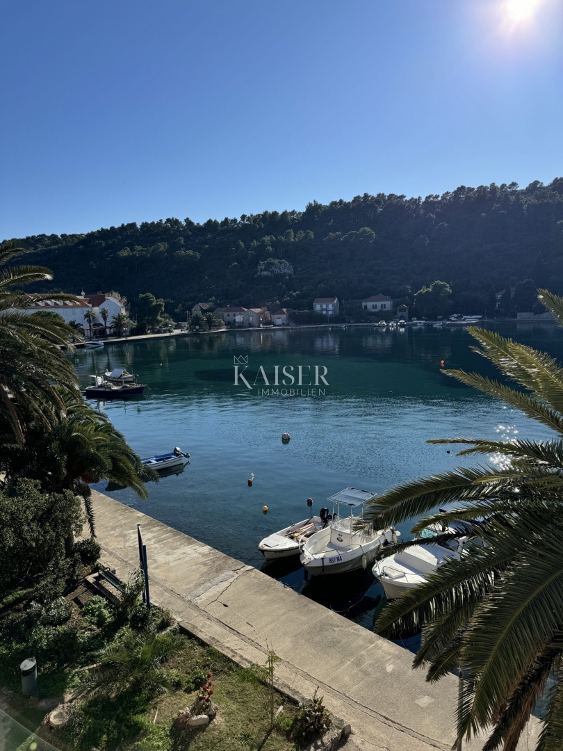 Palazzo storico a Sipanska Luka