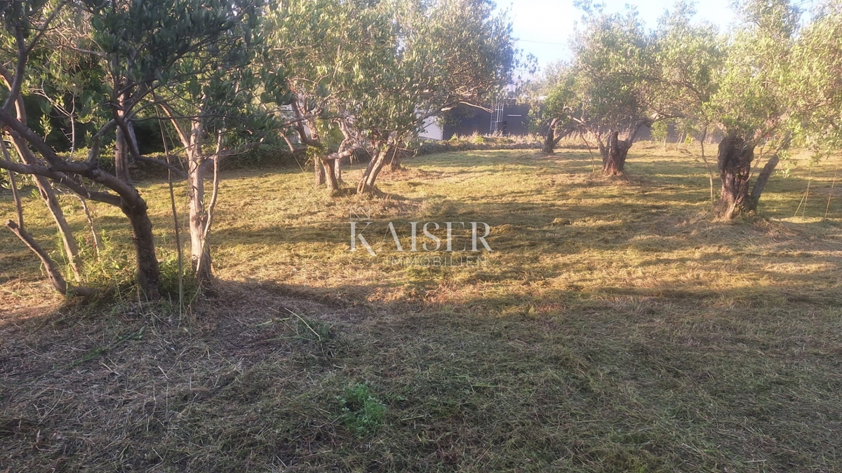 Isola di Pašman – terreno edificabile 1411 m2