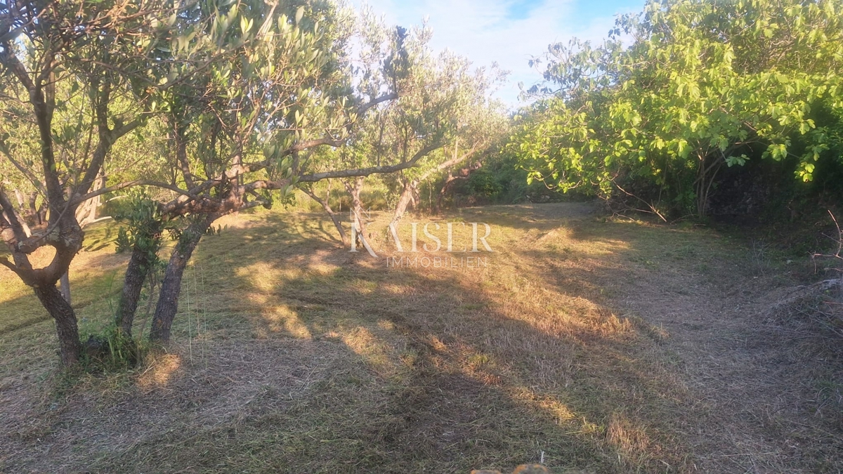 Isola di Pašman – terreno edificabile 1411 m2