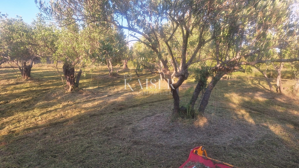 Isola di Pašman – terreno edificabile 1411 m2