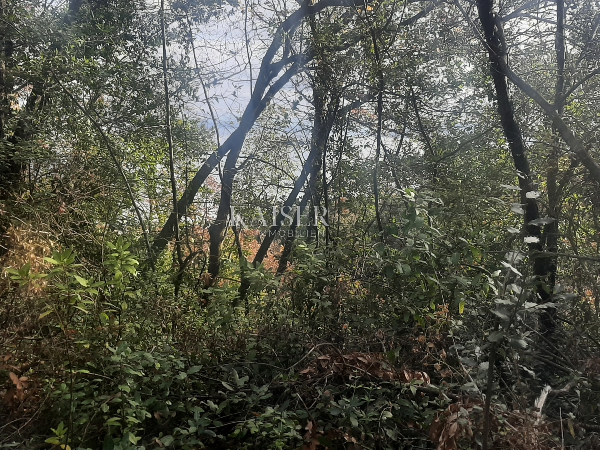 Mošćenička Draga, 1.283m2