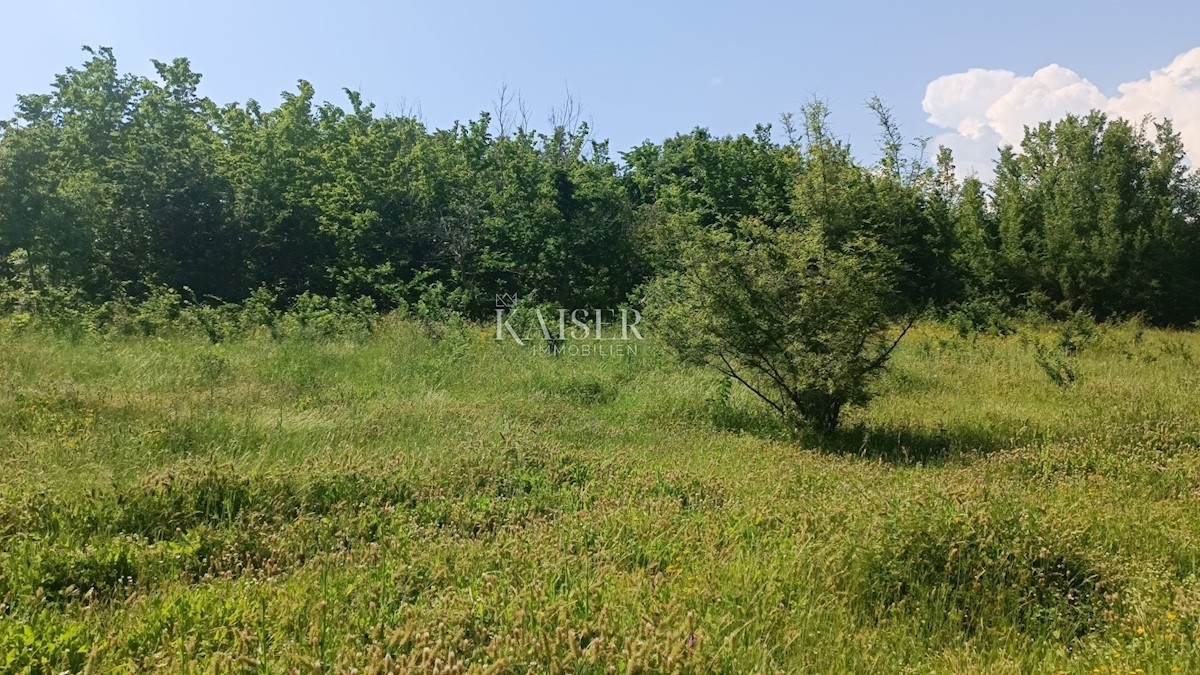 Istria - Barban - terreno edificabile con progetto, 1040 m2