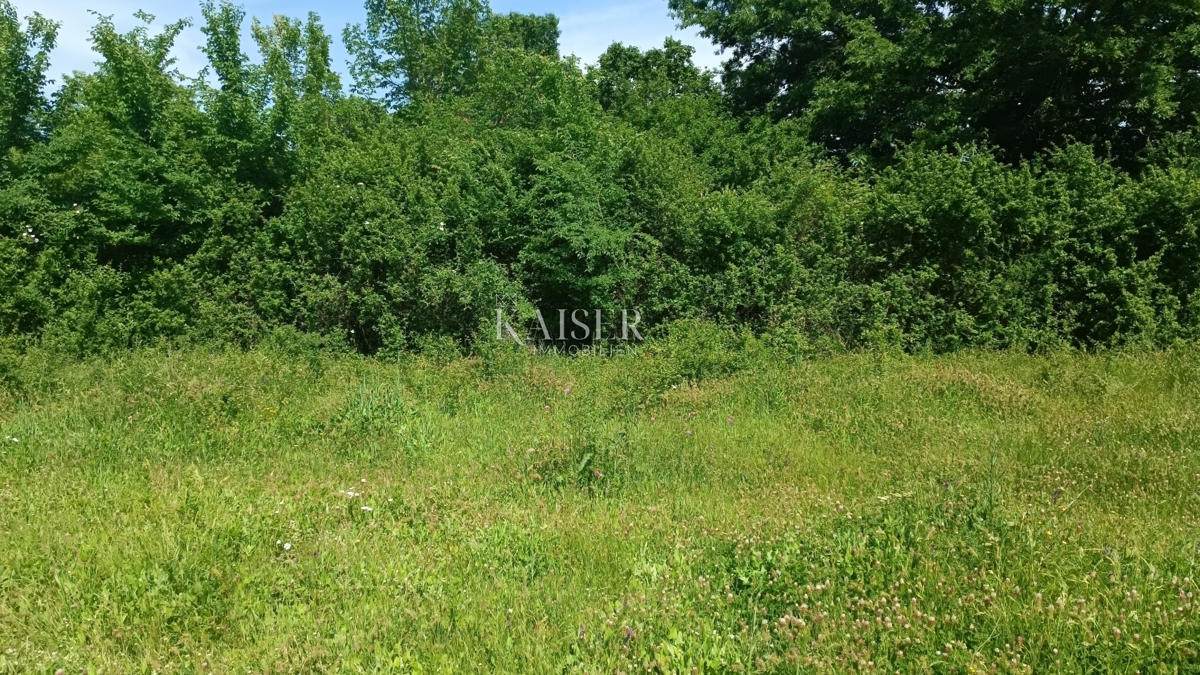 Istria - Barban - terreno edificabile con progetto, 1040 m2