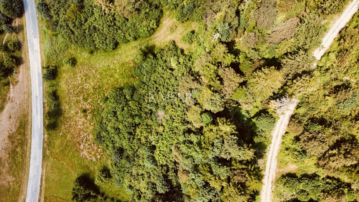 Fužine – Terreno edificabile di 7000 m2 vicino al lago